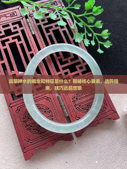 翡翠种水的概念和特征是什么