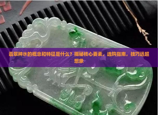 翡翠种水的概念和特征是什么
