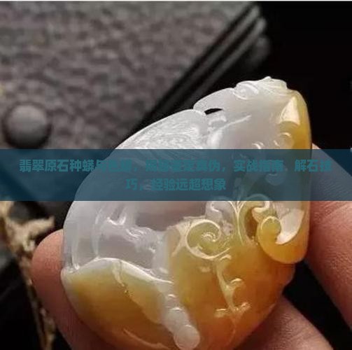 翡翠原石种蟒与色蟒