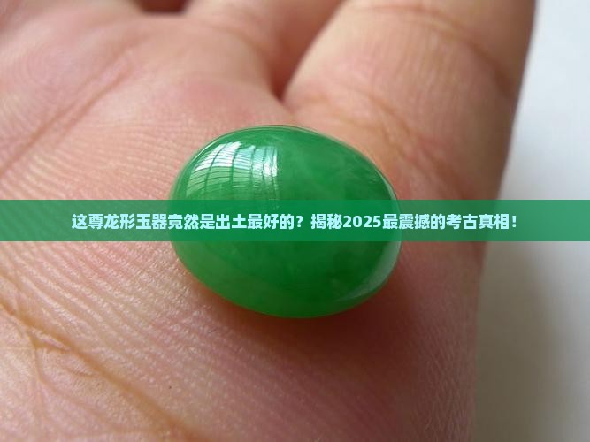 出土最好的龙型玉器