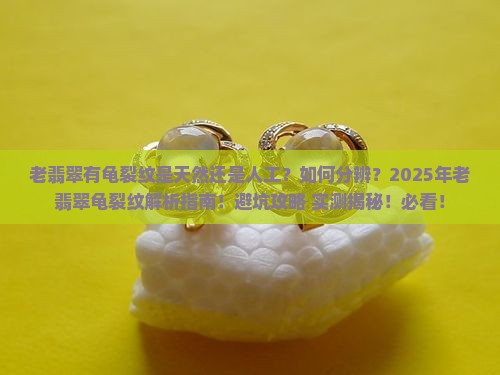 老翡翠有龟裂纹