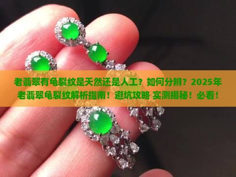 老翡翠有龟裂纹