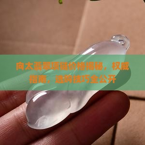 向太翡翠项链价格
