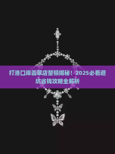 打洛口岸翡翠店整顿