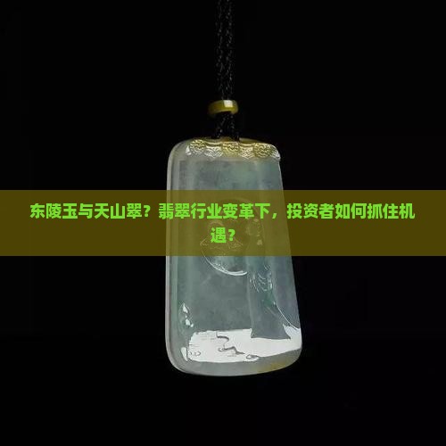 东陵玉与天山翠？翡翠行业变革下，投资者如何抓住机遇？
