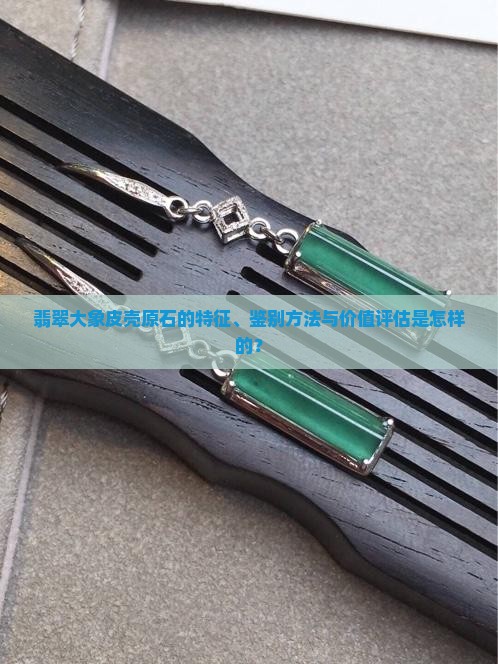 翡翠大象皮壳原石的特征、鉴别方法与价值评估是怎样的？