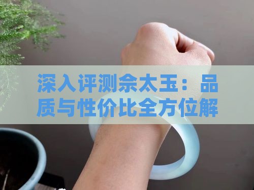 深入评测佘太玉：品质与性价比全方位解析