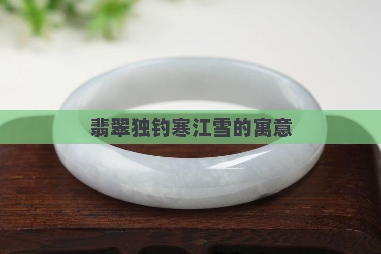 翡翠独钓寒江雪的寓意