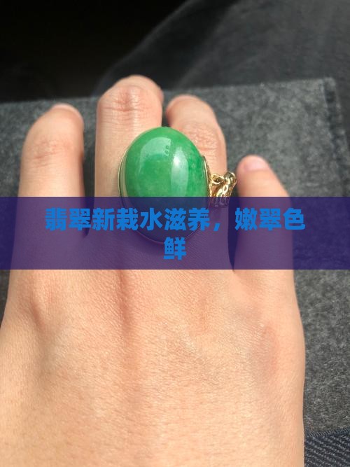 翡翠新栽水滋养，嫩翠色鲜
