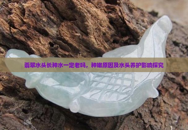 翡翠水头长种水一定老吗，种嫩原因及水头养护影响探究