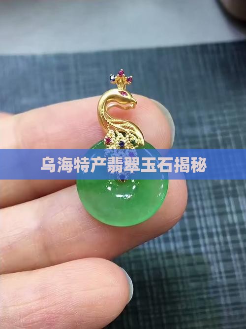 乌海特产翡翠玉石揭秘