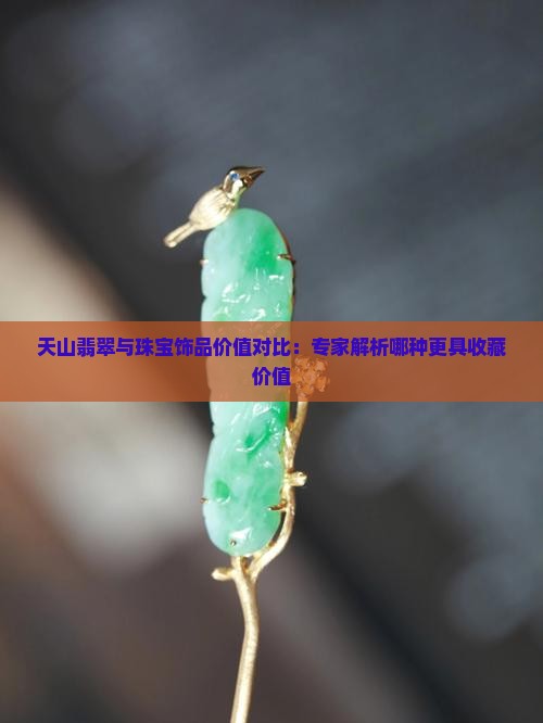 天山翡翠与珠宝饰品价值对比：专家解析哪种更具收藏价值