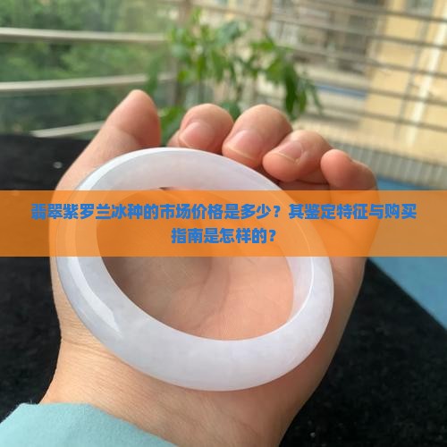 翡翠紫罗兰冰种的市场价格是多少？其鉴定特征与购买指南是怎样的？