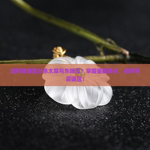 如何准确区分佘太翠与东陵玉？掌握鉴别要点，避开购买误区！