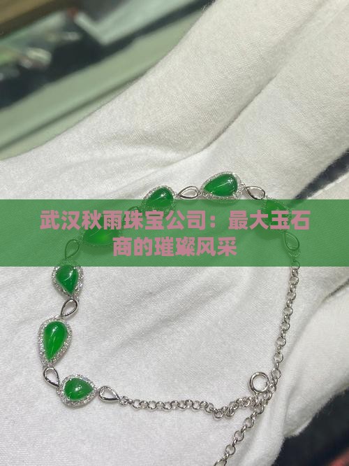 武汉秋雨珠宝公司：最大玉石商的璀璨风采