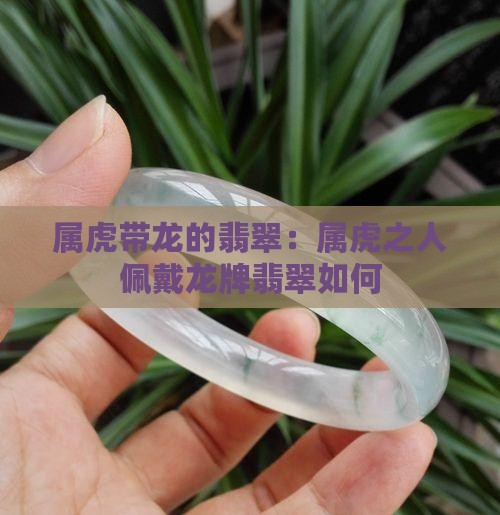 属虎带龙的翡翠：属虎之人佩戴龙牌翡翠如何