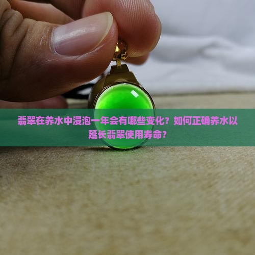 翡翠在养水中浸泡一年会有哪些变化？如何正确养水以延长翡翠使用寿命？