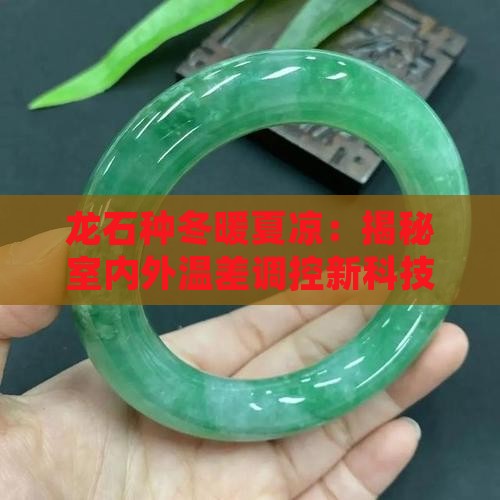 龙石种冬暖夏凉：揭秘室内外温差调控新科技