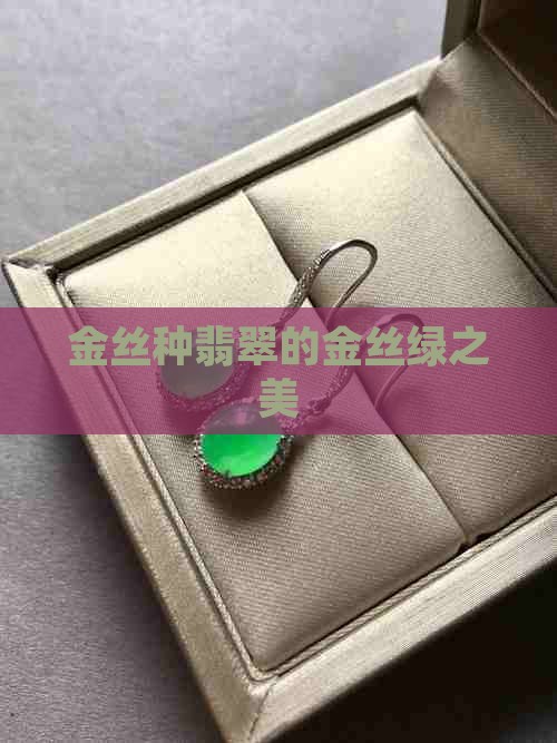 金丝种翡翠的金丝绿之美