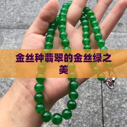 金丝种翡翠的金丝绿之美