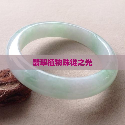 翡翠植物珠链之光