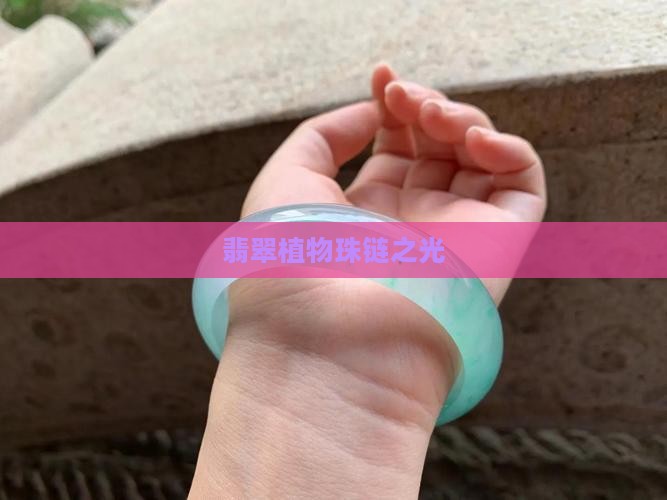 翡翠植物珠链之光