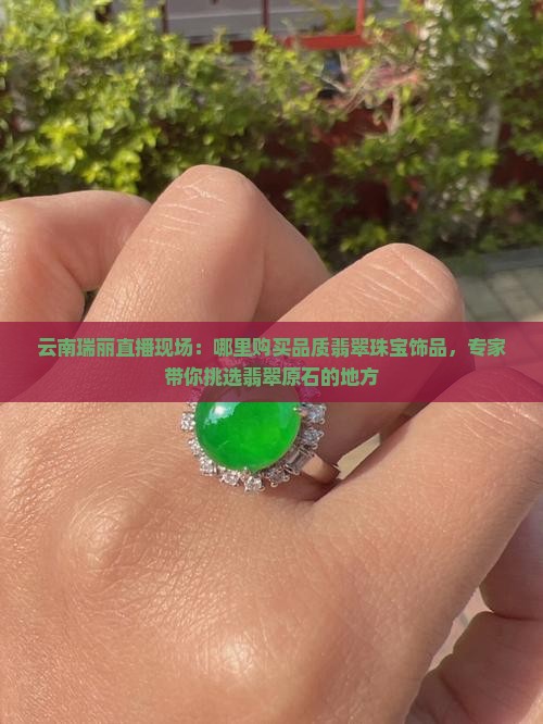 云南瑞丽直播现场：哪里购买品质翡翠珠宝饰品，专家带你挑选翡翠原石的地方