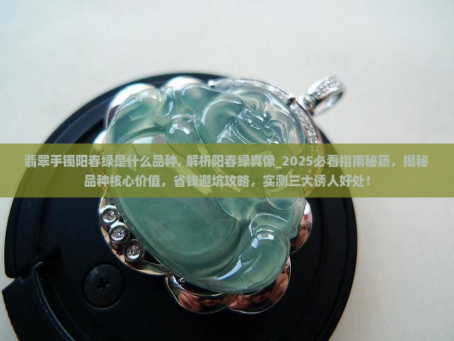 翡翠手镯阳春绿是什么品种