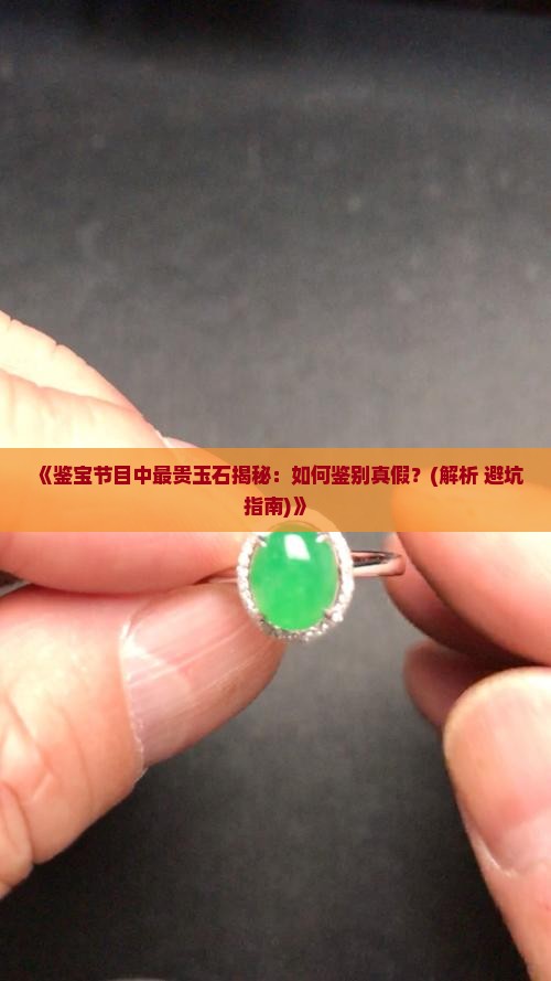 鉴宝节目最贵玉石
