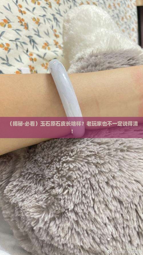 玉石原石皮的表现