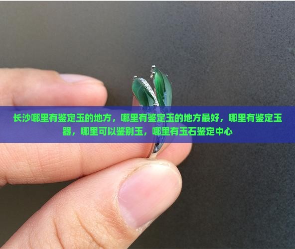 长沙哪里有鉴定玉的地方