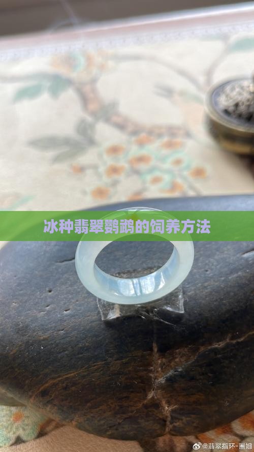 冰种翡翠鹦鹉怎么养