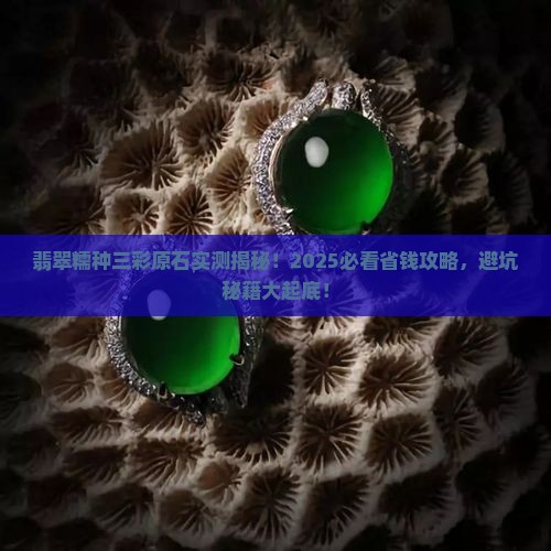 翡翠糯种三彩原石