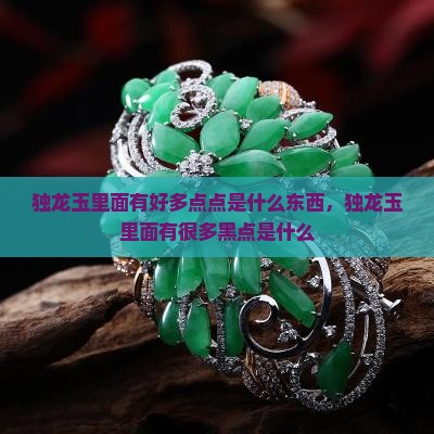 独龙玉里面有好多点点是什么东西
