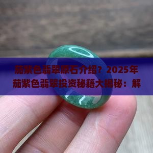 茄紫色翡翠原石介绍