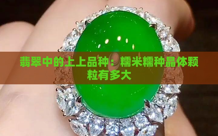 糯种翡翠晶体颗粒有多大