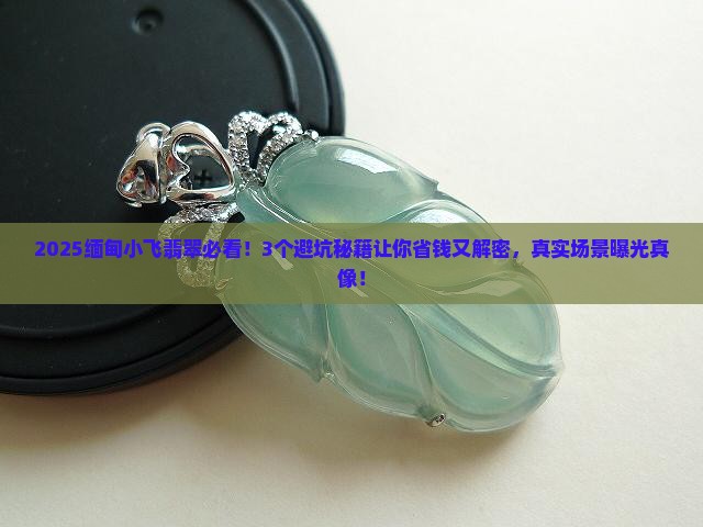缅甸小飞翡翠