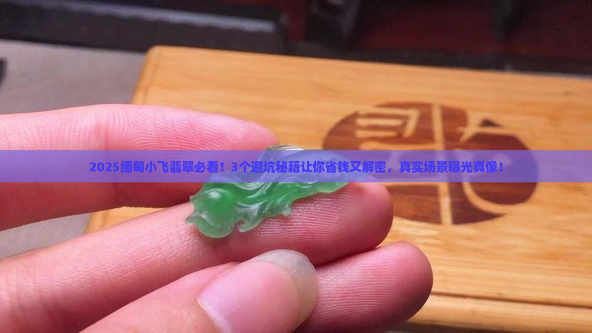 缅甸小飞翡翠