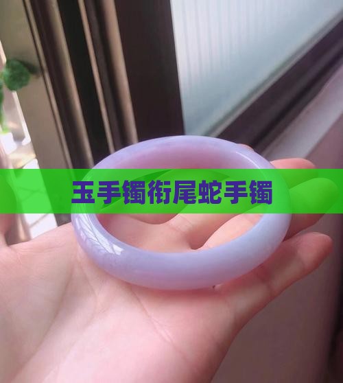 玉镯衔尾蛇