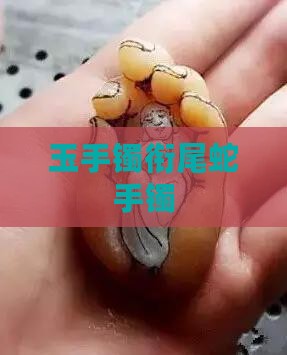 玉镯衔尾蛇