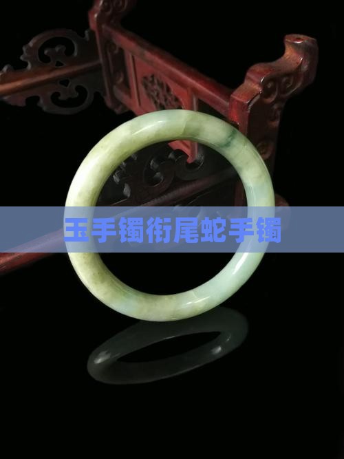 玉镯衔尾蛇