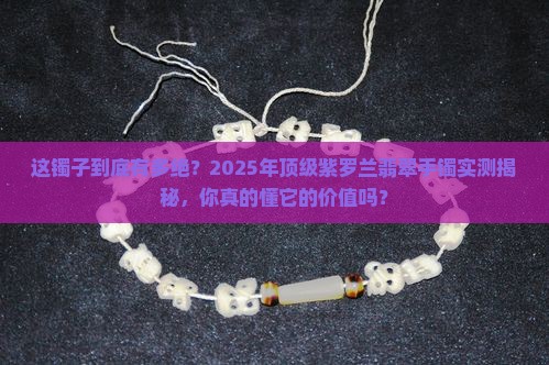 极品紫罗兰顶级高端时尚经典限量版翡翠手镯