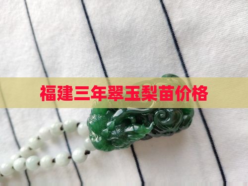 福建三年翠玉梨苗价格