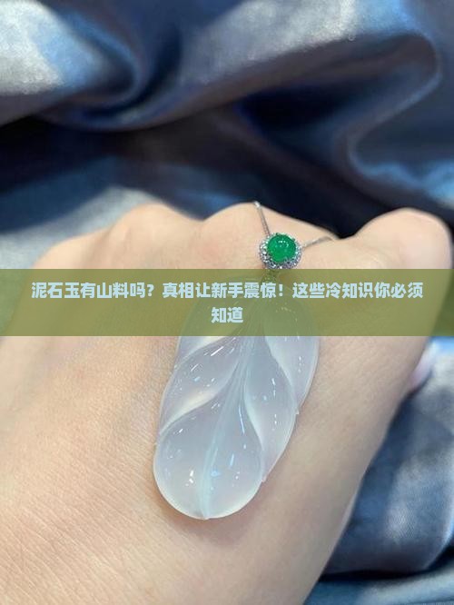 泥石玉有山料吗