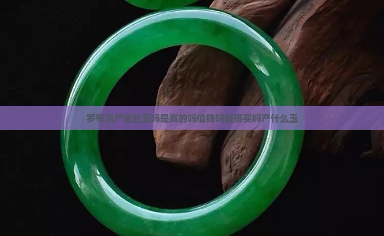 罗布泊产金丝玉吗