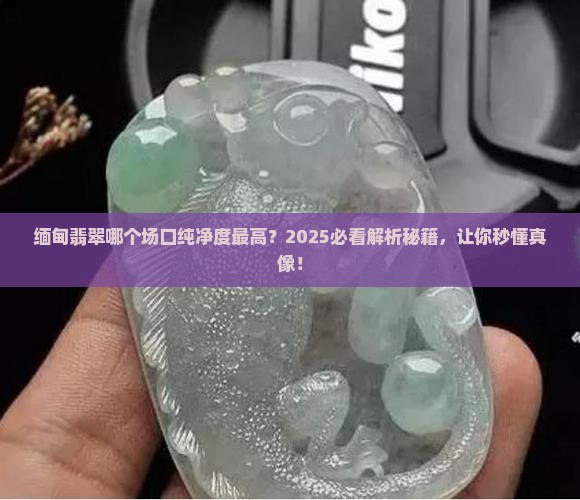 缅甸翡翠哪个场口出的纯净度高