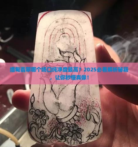 缅甸翡翠哪个场口出的纯净度高