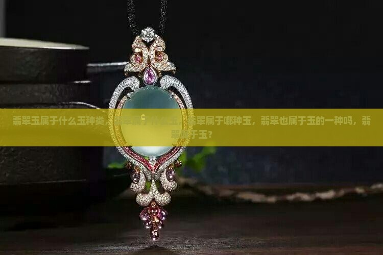 翡翠玉属于什么玉种