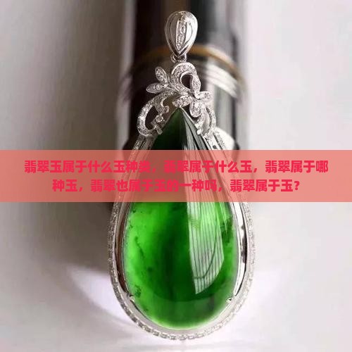 翡翠玉属于什么玉种