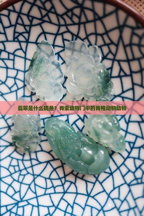 翡翠鱼是什么品种